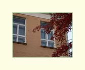 [Click to enlarge]