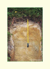 [Click to enlarge]